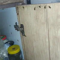 سم پاشی