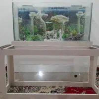 آکواریوم ماهی های زینتی