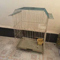 قفس پرنده
