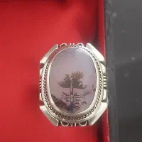 انگشترشجر کلکسیونی