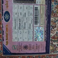 فرشته 6 متری در حد