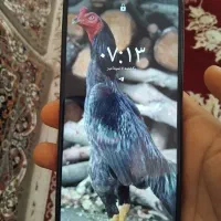 فروش A12