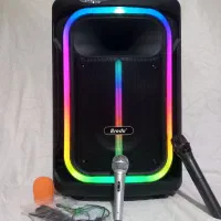 اسپیکر بزرگ بلوتوثی چرخ دار وردسته دار15اینچ برودو|سیستم صوتی خانگی|کلاله, |دیوار