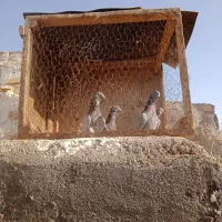 4عددکفترگمشده هرکی پیداکنه 2میلیون میدم