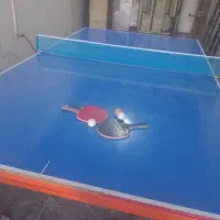 تنیس روی میز(پینگ پنگ)