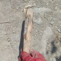 چوب علامت گذاری