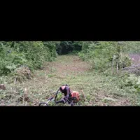 علف زنی با دستگاه