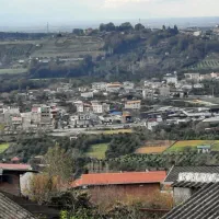 اجاره آپارتمان  با ویو فوق العاده