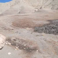 زمین کشاورزی..قیمت توافقی|فروش زمین و ملک کلنگی|سیوان, |دیوار