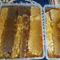 عسل طبیعی قره داغ