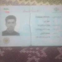 مدارک پیدا شده چندکارت بانکی وملی