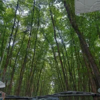 فیش حج عمره