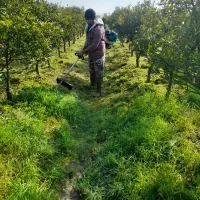 علف تراشی باغ و ویلا