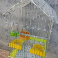 فروش قفس. با. لوازم. کامل|لوازم جانبی حیوانات|میناب, |دیوار