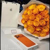 فروش اقساط بدون ضمانت بازنشستگان تامین اجتماعی