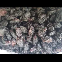 مویز