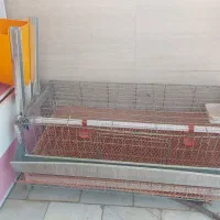 قفس بلدرچین تخم گذار