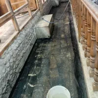 نصب و فروش ایزوگام شرق 6736لکه گیری حتی 1متر|خدمات پیشه و مهارت|مشهد, نوید|دیوار