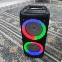 اسپیکر KTS1299