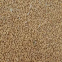 خریدوفروش گندم و محصولات کشاورزی جوین