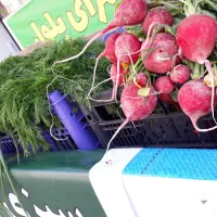 سبزی و ترشی خانگی