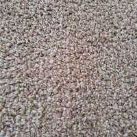 پالاز موکت|موکت|خورموج, |دیوار