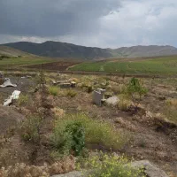 زمین باغی  جنب آسفالت ۱۵۰۰متر۳۵۰میلیون