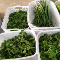 وسایل داخل مغازه