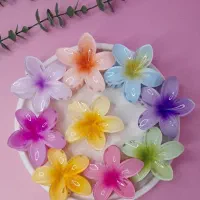 پک هدیه|آرایشی، بهداشتی، درمانی|مشهد, شهرک لشکر (شهرک غرب)|دیوار