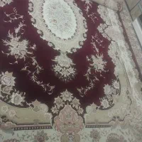 فرش زرشکی 500 شانه 440 شانه|فرش|قیدار, |دیوار