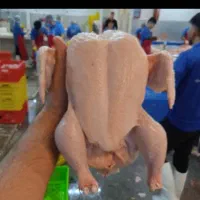 استخدام کارگر در شرکت