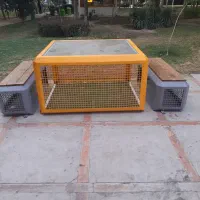 گل کوچیک
