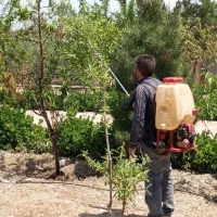 آگهی باغبانی درختکاری گلکاری تیلرزنی علف کشی