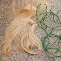 تور ماهی گیری سلیه