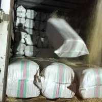 فروش کاه گندم وجو