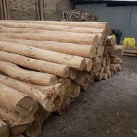 خریدار چوب سقفی|خدمات باغبانی و درختکاری|نیشابور, شهید بهشتی|دیوار