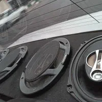 آلپاین فوق سالم