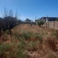 زمین اشتهارد فتح اباد(سند دار)|فروش زمین و ملک کلنگی|بوئین زهرا, |دیوار