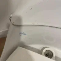 توالت فرنگی گلسار