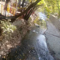 کارگر ساده جهت باغ رستوران و سفره خانه سنتی|استخدام خدمات فروشگاه و رستوران|کوهسار (البرز), |دیوار