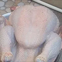 بو قلمون درجه یک رسید کاملا طبیعی و اورگانیک