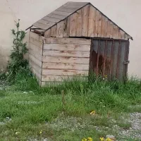 فروش لانه سگ