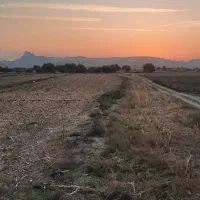فروش ملک کشاورزی گچساران دشت بزرگ لیشتر