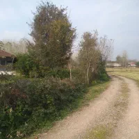 زمین مسکونی در سنگر با پروانه|فروش زمین و ملک کلنگی|رشت, کاکتوس|دیوار