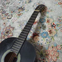 گیتار نیازمند تعمیر|گیتار، بیس، امپلیفایر|ری, دولت‌آباد|دیوار