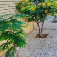 اجاره-روزانه-ویلا-کنار-ساحل-بندر-گناوه-بسیار-تمیز