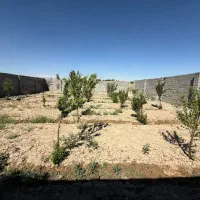 500-متر-چهاردیواری-با-سند-در-احمدآباد-مستوفی
