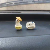 آویز ماشین و جاسویچی روداشبوردی