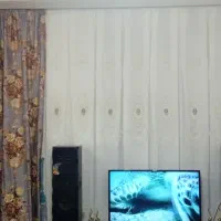 پرده پذیرایی و ورودی