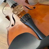 ویولاViola|ویولن|شیراز, باغ تخت|دیوار